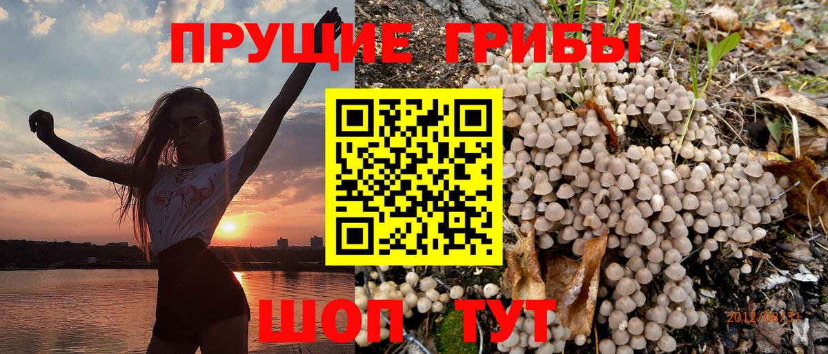 Узловая  Галлюциногенные грибы Psilocybe  Галлюциногенные грибы Psilocybine cubensis  Вход с VPN 