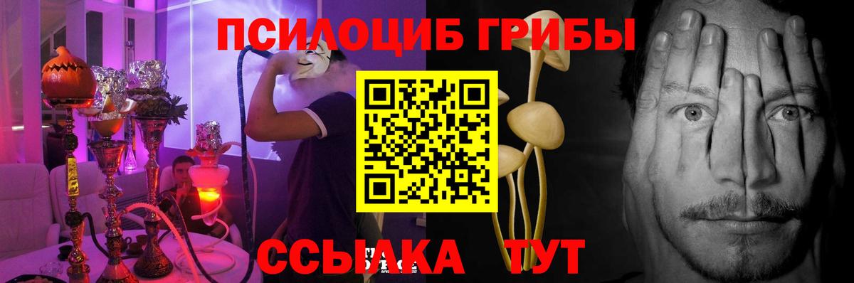 Галлюциногенные грибы Psilocybine cubensis Узловая